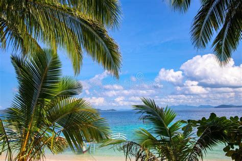 Tropical Greenery And Turquoise Blue Sea Water Landscape Tropical