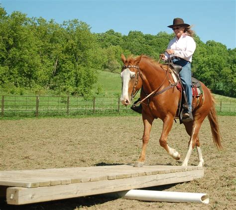 We did not find results for: Building Obstacles - The Horse Forum