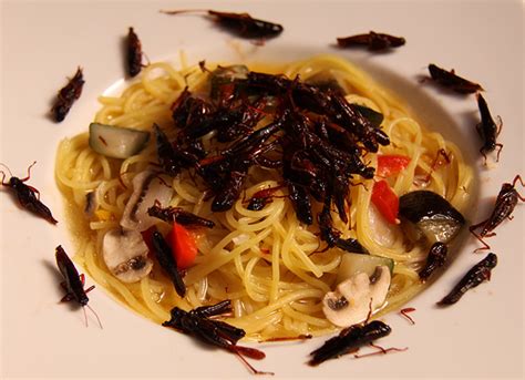 Yancy ws jr1, olsen mk, guyton jr, bakst rp, westman ec. The Insect Diet