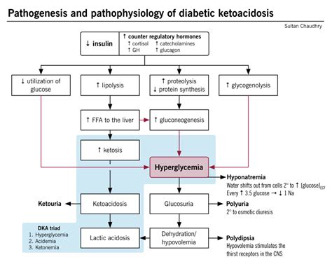 Pathogenesis And Pathophysiology Of Diabetic Ketoacidosis