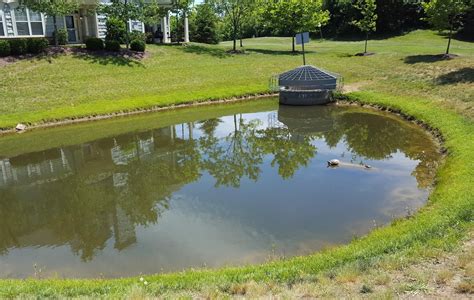 How To Build A Retention Pond Mixnew15
