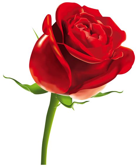 Rose Png Clipart Best