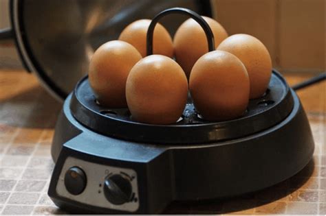 The Best Egg Cookers Reviewed For 2021 Meal Prepify
