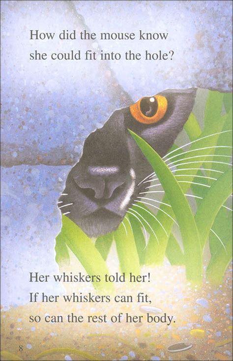 There is a story for all kids on this list second whether you are a parent, teacher, or homeschooler you will love this carefully gathered 2nd grade reading books! Whiskers (Step into Reading Level 2) | Random House Books ...