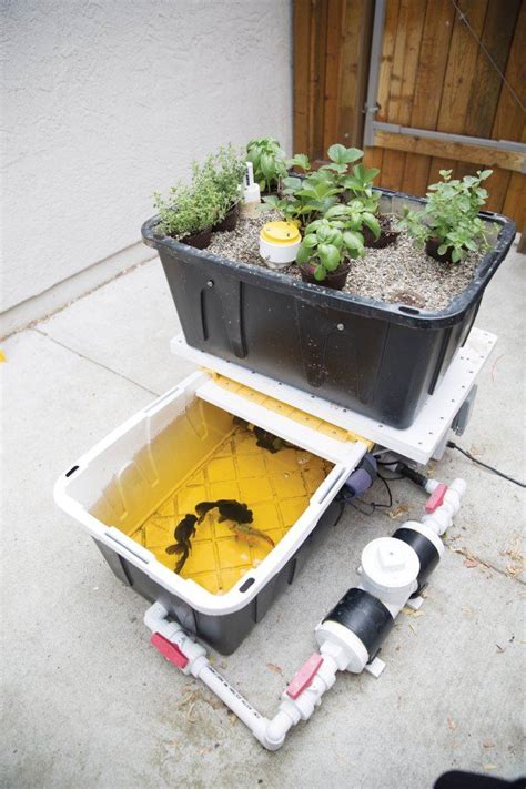 Build An Aquaponic Garden With Arduino — Gardening Make Aquaponic