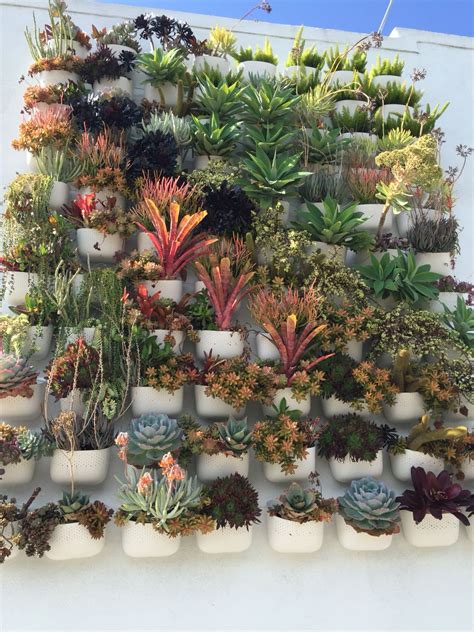 Maybe you would like to learn more about one of these? Succulent wall in North Park San Diego California ...