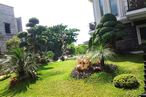 Solusi Praktis untuk Masalah Landscaping di Makassar