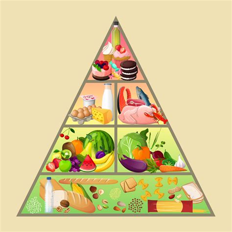 Concetto Di Piramide Alimentare Scarica Immagini Vettoriali Gratis