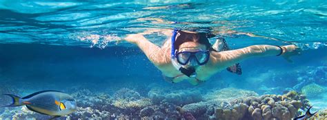 Snorkeling Top 10 Puerto Rico