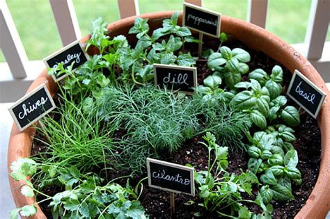 Herb Garden Ideas Nine Ways To Create A Happy Herb Garden
