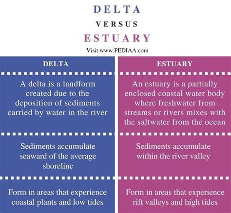 What Is The Difference Between Delta And Estuary Pediaacom