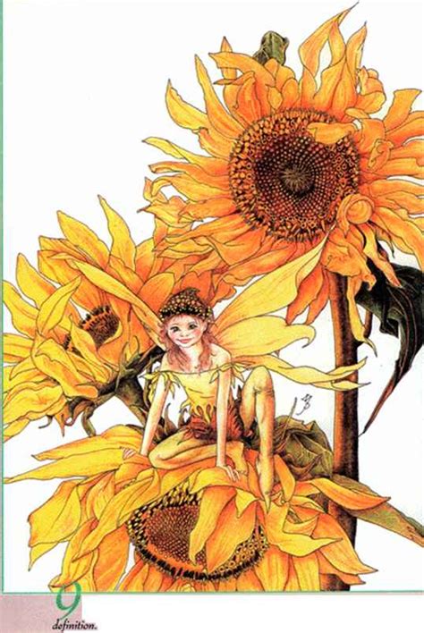 Sunflower Fairy By Myrea Pettit Drawing Fairies Joshua Nava Arts