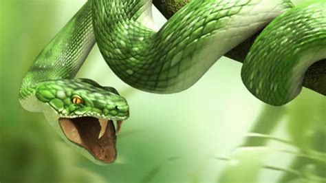 Beautiful wallpapers for hp, dell, asus, acer, msi and other laptops. 3D Snake HD for Laptop 1366x768 Wallpaper: Desktop HD ...