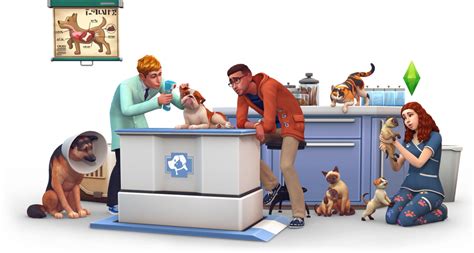 Sims 4 Friend Of The Animals Aspiration Walkthrough Cats And Dogs