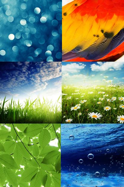 Image march 5, 2016march 5, 2016akbarpathurleave a. 46+ Wallpaper Zip Files on WallpaperSafari