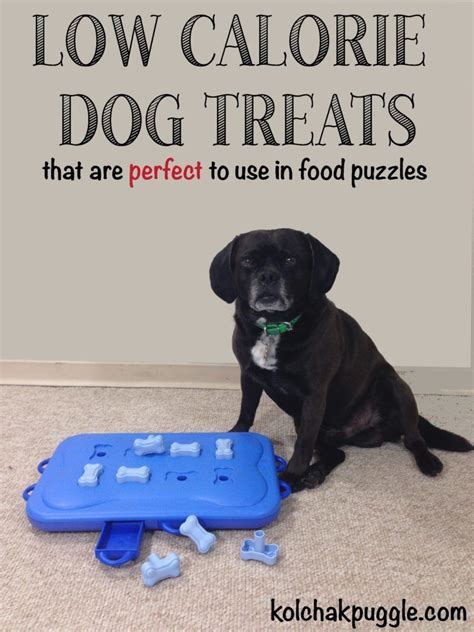 Have a pudgy dog you still want to give a treat to once in a while? Five Low Calorie Dog Treats That Are Perfect to Use in Food Puzzles & Toys | Dog treats, Diy dog ...