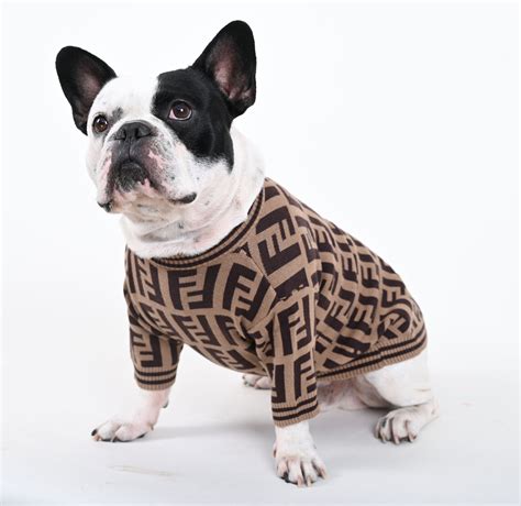 Clothes for Frenchies - frenchie Shop