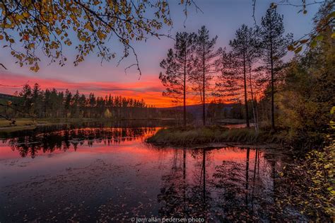 Autumn Fire Norway By Jørn Allan Pedersen On 500px Landscape Trees