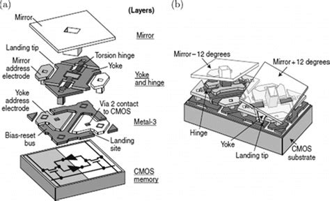 Application Of Digital Micromirror Devices Dmd In Biomedical