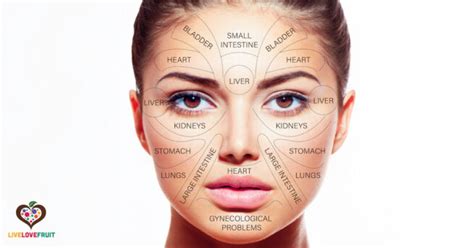 Face Mapping 9 Underlying Causes Of Face Blemishes Live Love Fruit