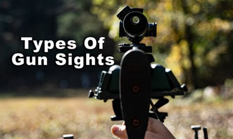 Types Of Gun Sights Whats Best For You