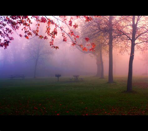 Wallpaper Park Morning Autumn Mist Fall Misty Fog Wisconsin