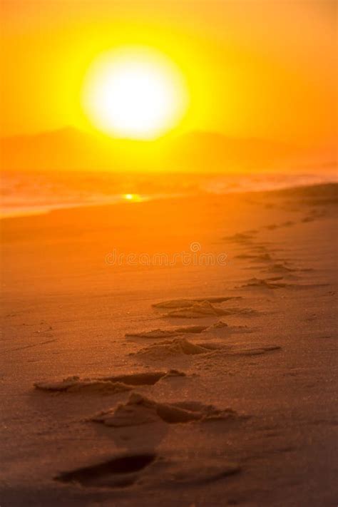 Footsteps In The Sand During Sunset On The Beach Stock Image Image Of