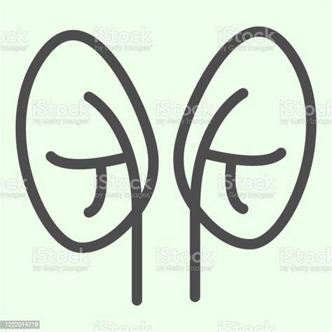 Kidneys Line Icon Pair Of Human Kidney Organ Outline Style Pictogram On
