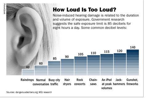 Temporary And Long Term Noise Induced Hearing Loss