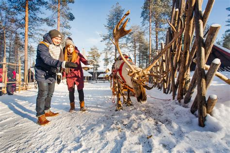 Meet Reindeer In Santa Claus Village Rovaniemi Lapland 2 Lapland Welcome In Finland