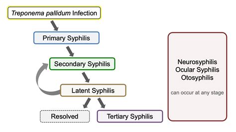 Syphilis Diagram