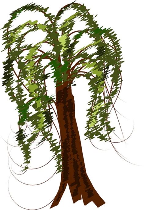 Tree Clip Art 175 Free Clip Art Trees Hubpages
