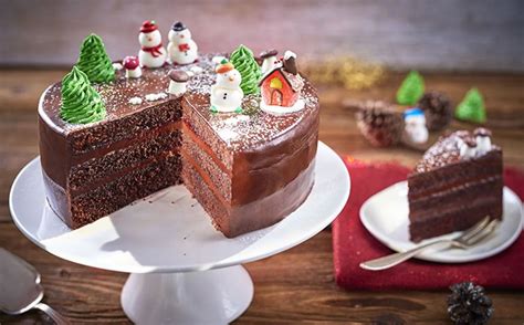 Chocolate Christmas Cake Bake With Stork