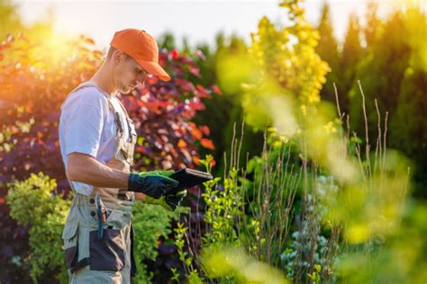 How To Start A Landscaping Business 7 Tips To Success