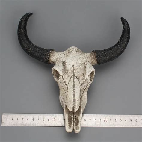 Long Horn Cow Skull Wall Hanging Longhorn Steer 3d Creative Animal