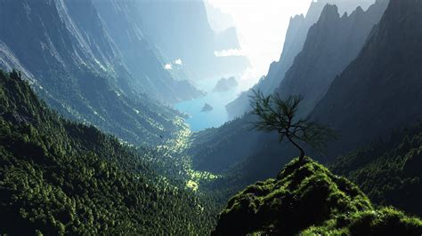 Masaüstü Resim Dijital Sanat Ağaçlar Orman Dağlar Kanyon