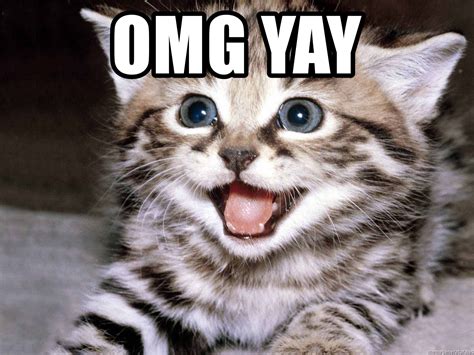 Latest cat meme generator free tool online. Omg yay - HAPPY KITTEN | Meme Generator