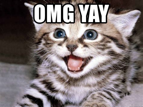 Maybe you would like to learn more about one of these? Omg yay - HAPPY KITTEN | Meme Generator