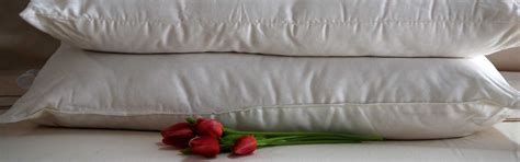 Comfy Organic Cotton Filled Pillows Organic Cotton Australia