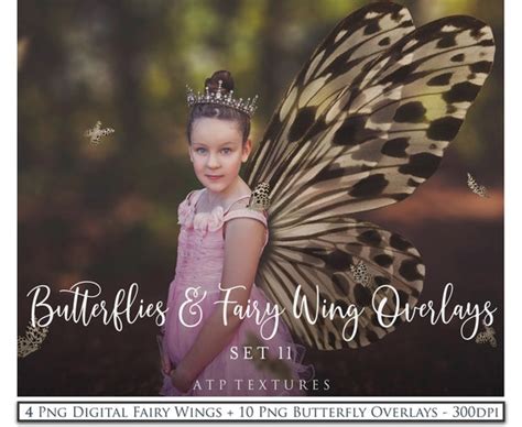 Photography Craft Supplies And Tools Butterfly Scrapbooking Fairy Wings