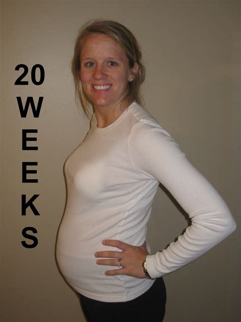 20 weeks pregnant belly viewing gallery