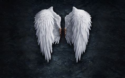 Anime Angel Wings Hd Image Pixelstalknet