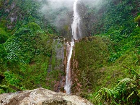 Carbet Falls Les Chutes Du Carbet Parc National 2020