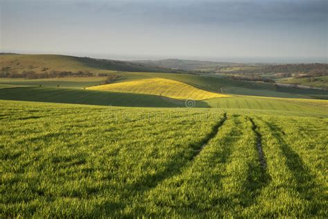 Morning Over Rolling English Countryside Landscape In Spring Stock