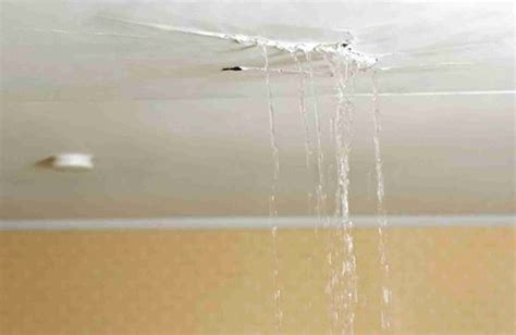 What To Do When Your Ceiling Has Water Damage Manmadediy