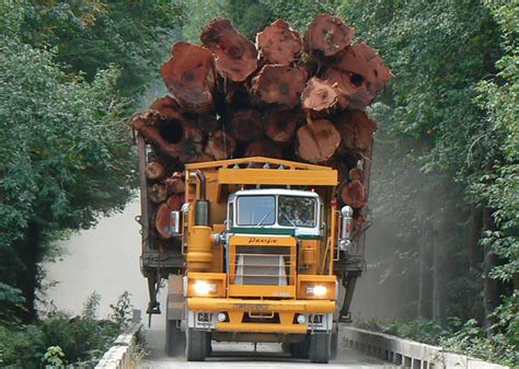 A Huge Logging Truck Screaming Down The Logging Road Nininat Valley