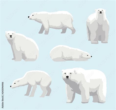 Cartoon Realistic Style Polar Bear Vector Illustration Stock Vector