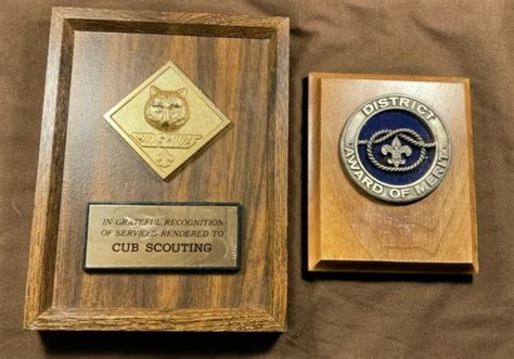 Vintage Cub Scout Plaque In Grateful Recognition Of Service District