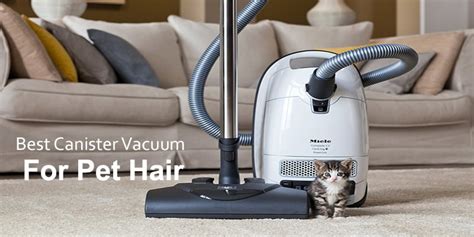 Best Canister Vacuum For Pet Hair 2020 Reviews