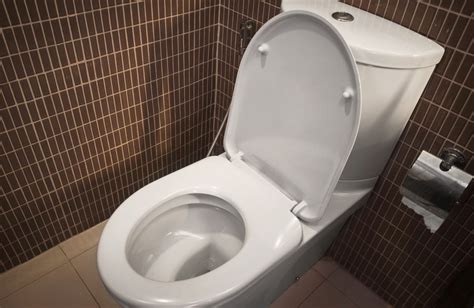 Then use the tightening tool from the kit to snug up the nut. How To Fix A Loose Toilet Seat | Caldwell Plumbing ...